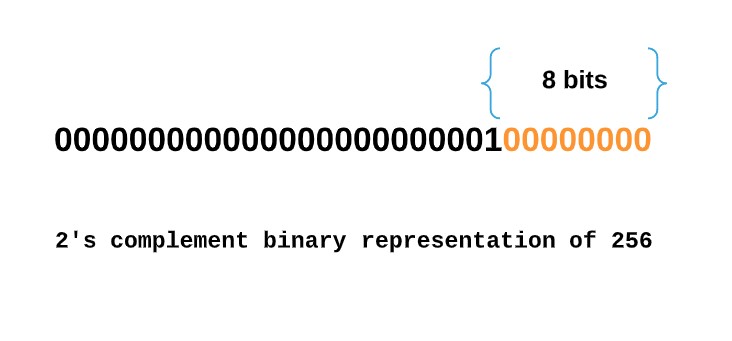 2's complement binary representation of 256