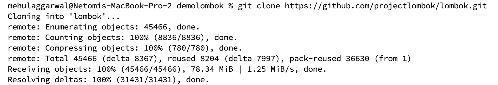 git clone lombok