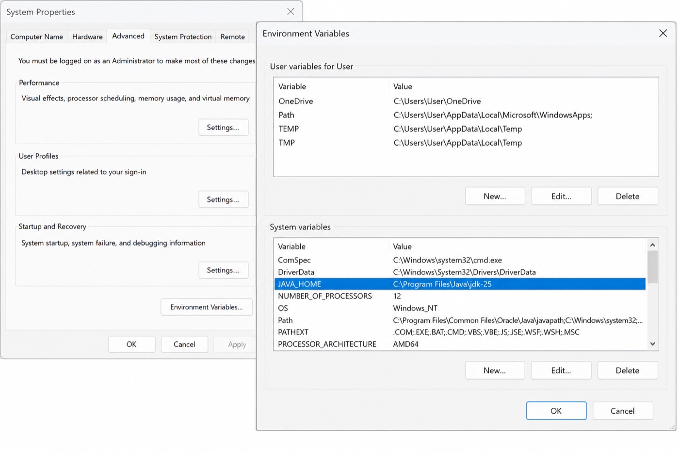 Windows Environment Variables with JAVA_HOME