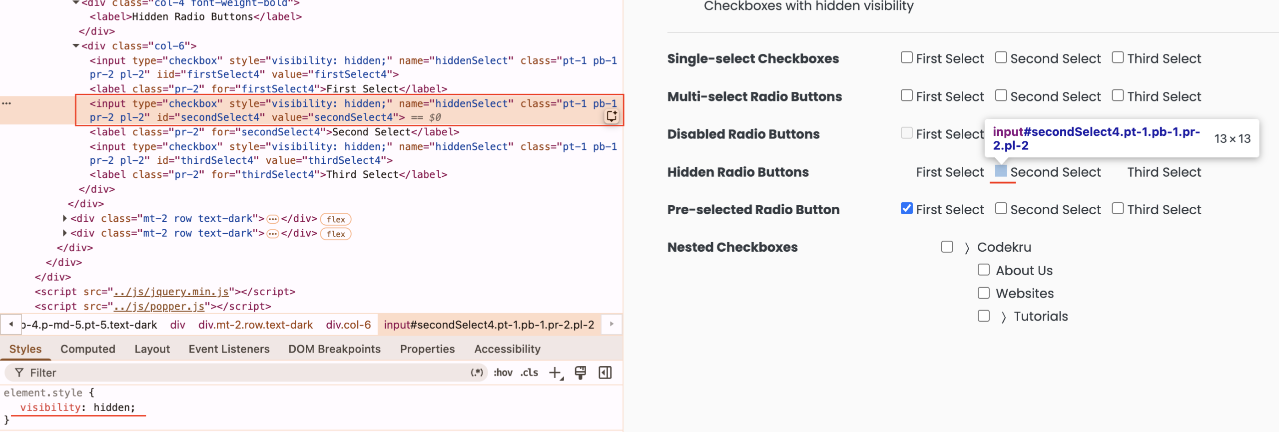 hidden checkbox